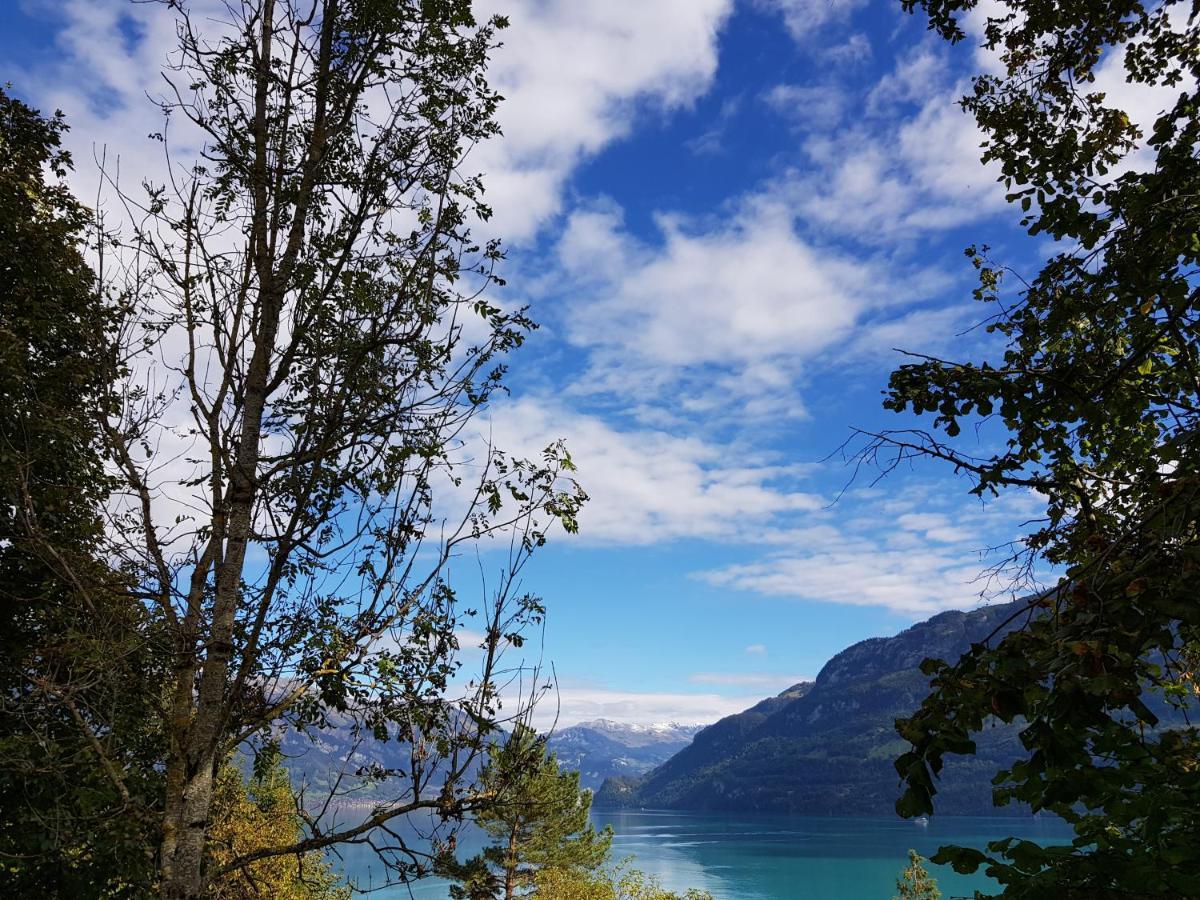Ferienwohnung Selinda Niederried bei Interlaken Eksteriør billede