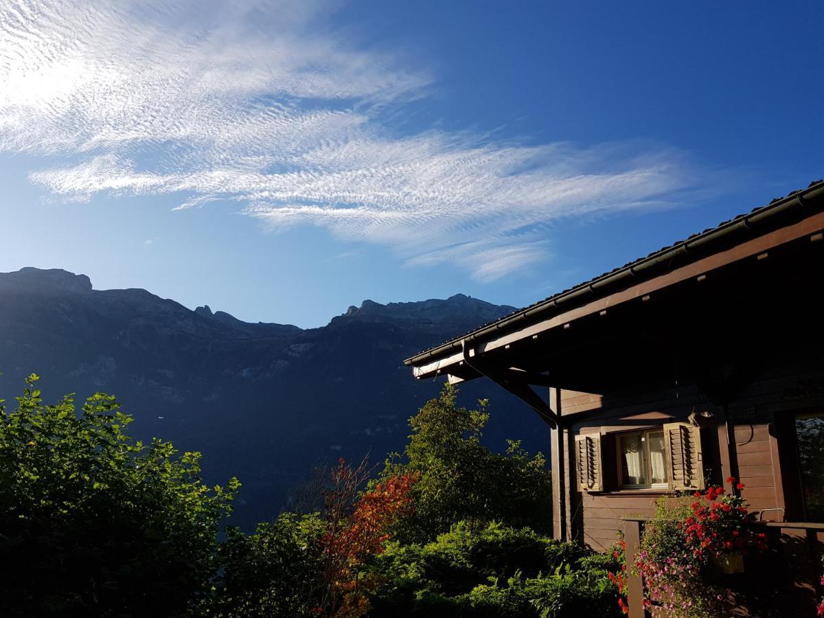 Ferienwohnung Selinda Niederried bei Interlaken Eksteriør billede